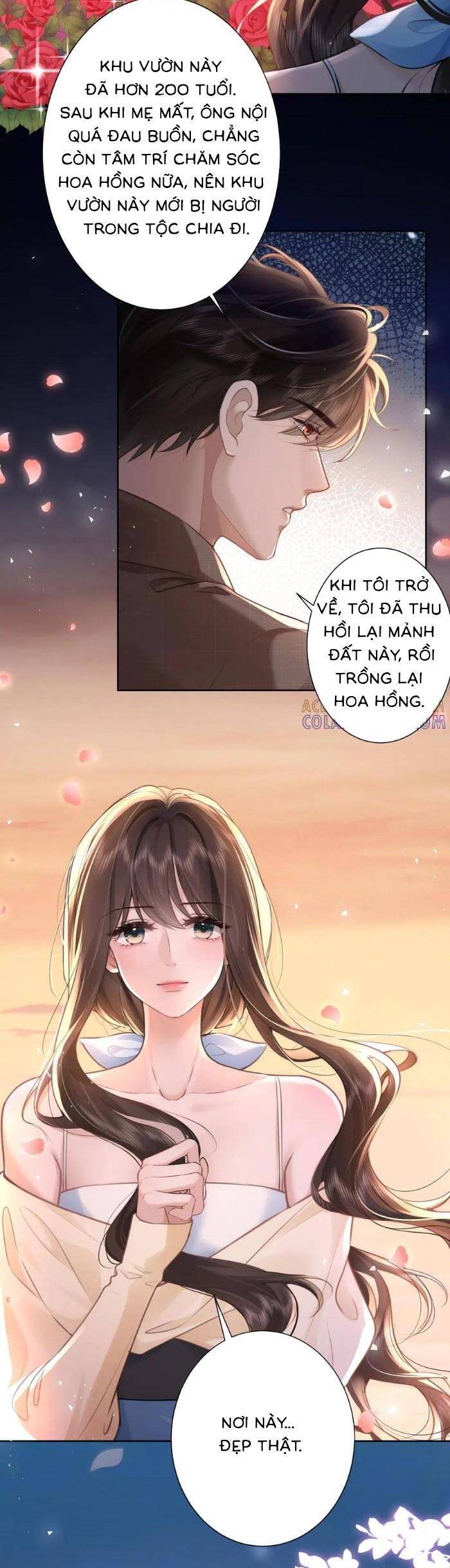 Tổng Tài Cố Chấp, Xin Hãy Buông Tha Chapter 28 - Next 