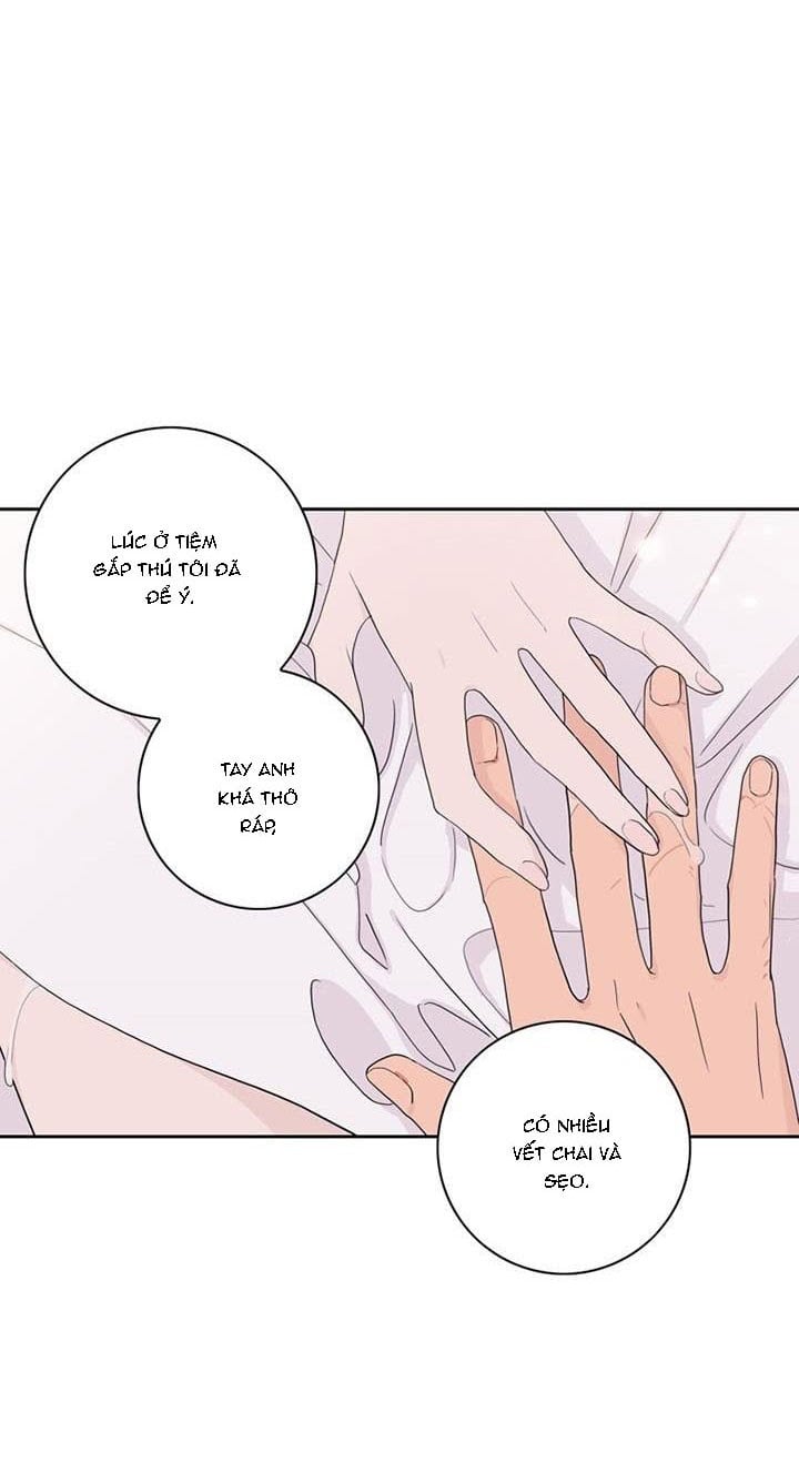 Toy Complex Chapter 3 - Trang 2