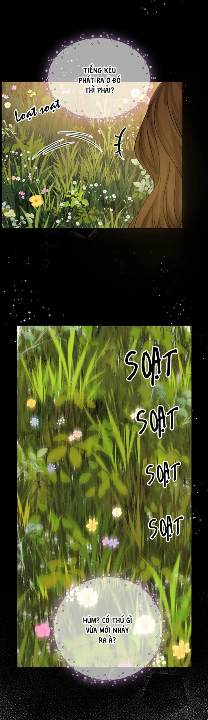 Trái Tim Của Sư Tử Chapter 69 - Next Chapter 70