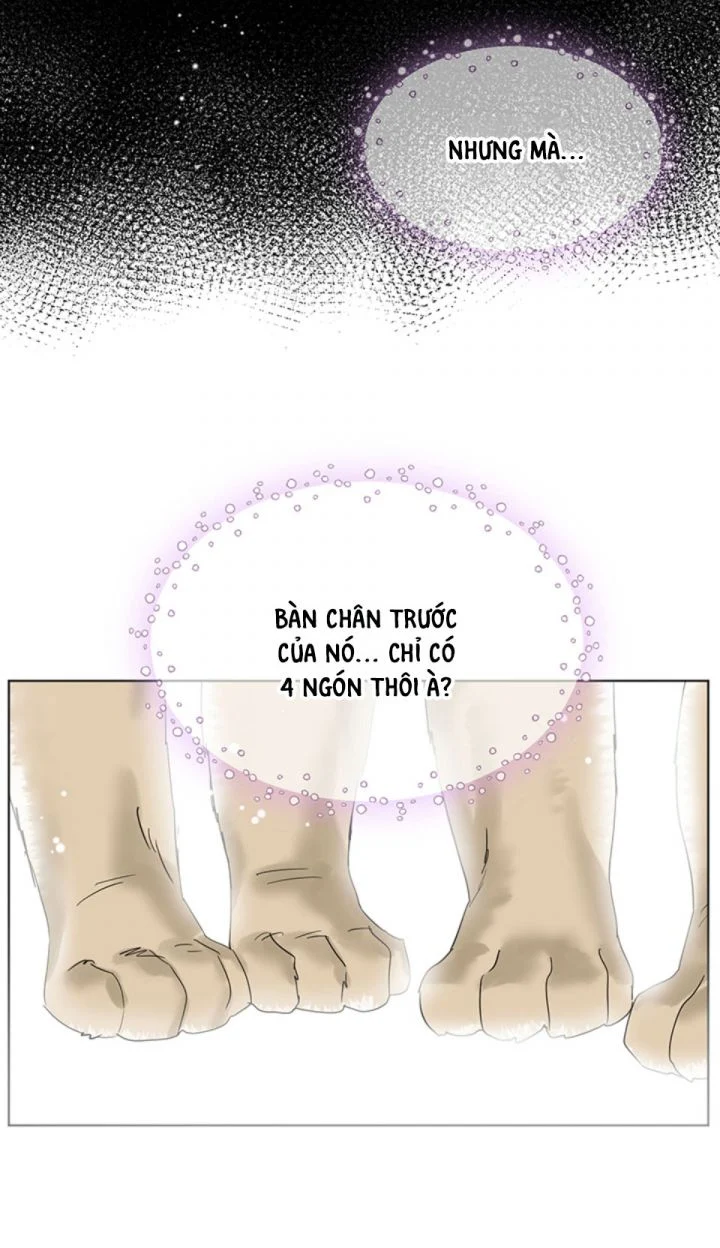 Trái Tim Của Sư Tử Chapter 69 - Next Chapter 70