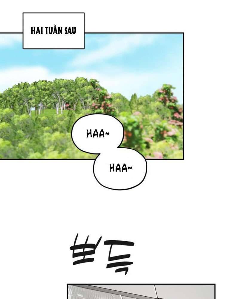 Trận Đấu Đồng Đội Của Những Tài Xế Xe Tải Chap 37 - Trang 3