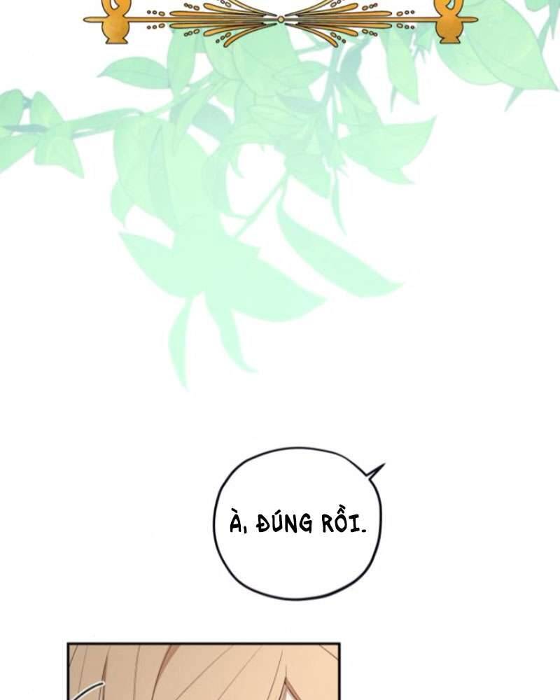 Trận Đấu Đồng Đội Của Những Tài Xế Xe Tải Chap 38 - Trang 3