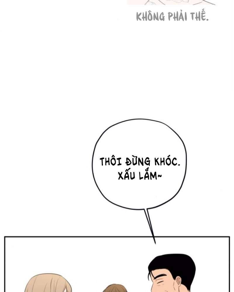 Trận Đấu Đồng Đội Của Những Tài Xế Xe Tải Chap 38 - Trang 3