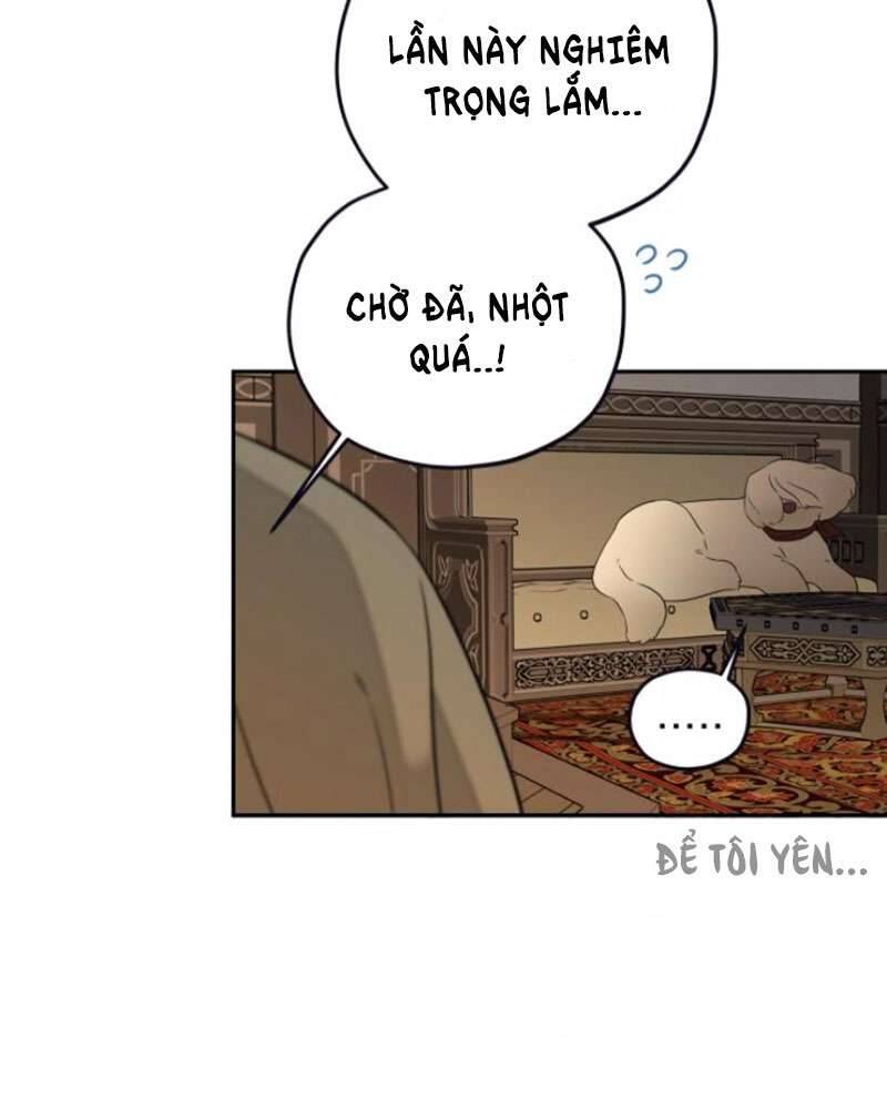 Trận Đấu Đồng Đội Của Những Tài Xế Xe Tải Chap 39 - Trang 3