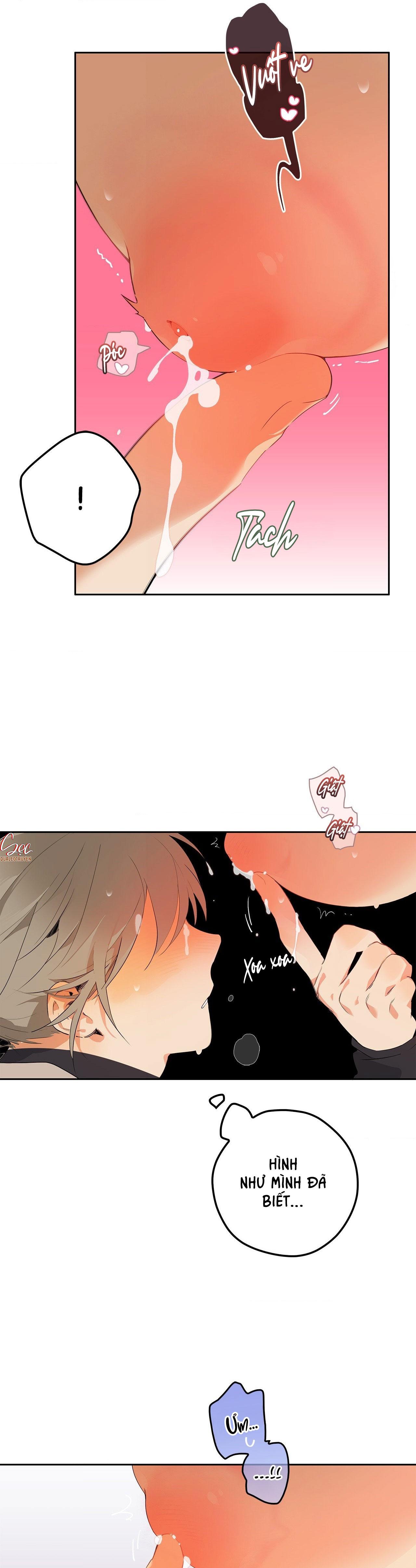 TRANG TRẠI DÂM ĐÃNG Chapter 2 - Next Chapter 3