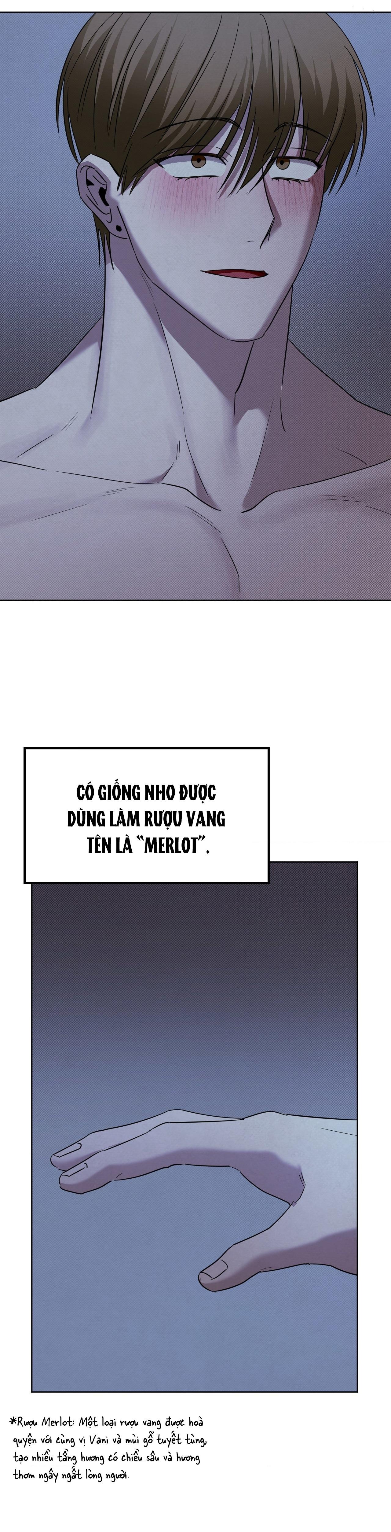 TRANH VẼ Chapter 17 - Next 