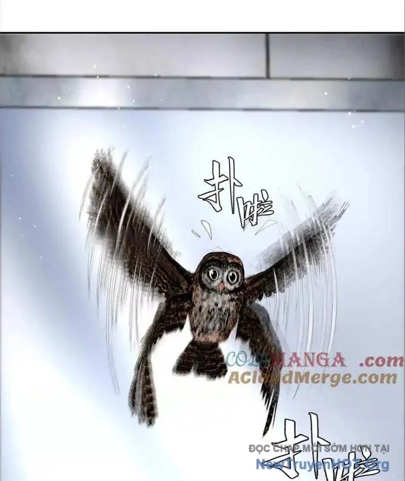 Trò Chơi Vô Vọng Chapter 32 158