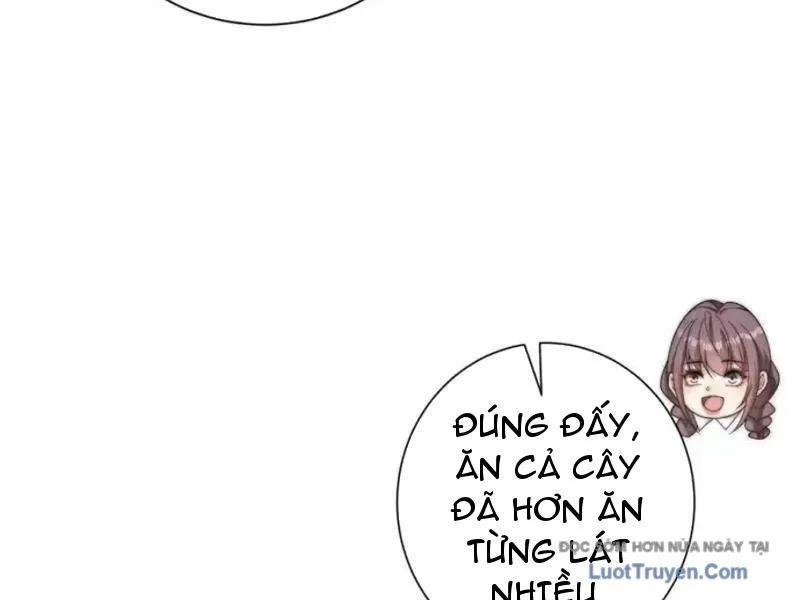 Trở Thành Vô Địch Bằng Hệ Thống Giảm Giá Trị Chapter 61 - Next Chapter 62