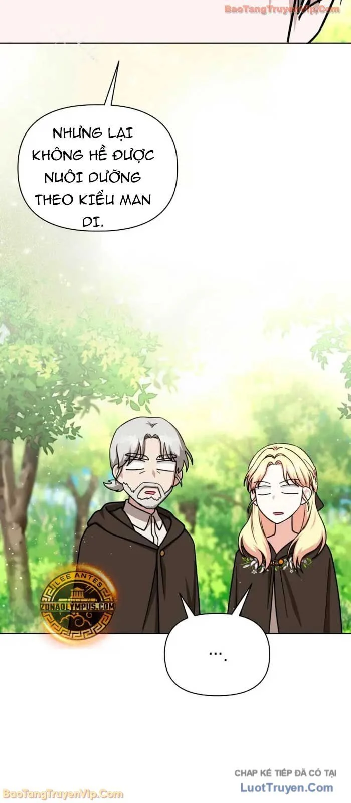 Trở Thành Man Di Ở Thế Giới Fantasy Chapter 43 - Trang 2