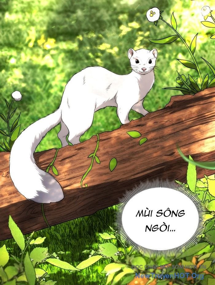 Trở Thành Man Di Ở Thế Giới Fantasy Chapter 5 3