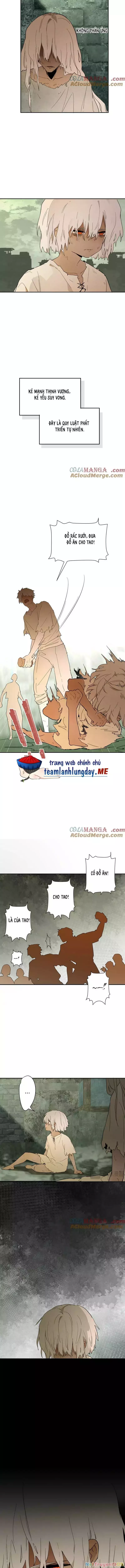 Trở Thành Nữ Hoàng Từ Khi Mới 6 Tuổi Chapter 33 - Trang 3