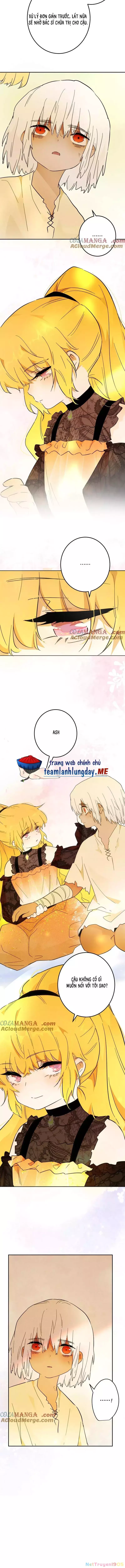 Trở Thành Nữ Hoàng Từ Khi Mới 6 Tuổi Chapter 44 8
