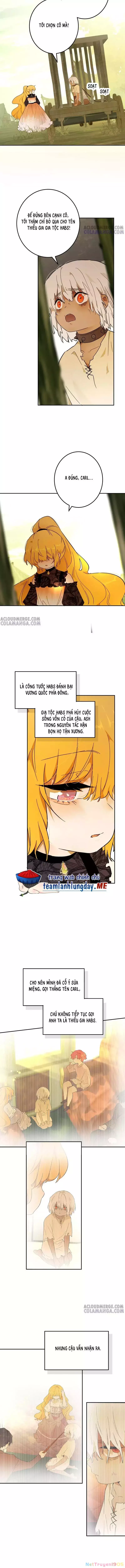 Trở Thành Nữ Hoàng Từ Khi Mới 6 Tuổi Chapter 45 4