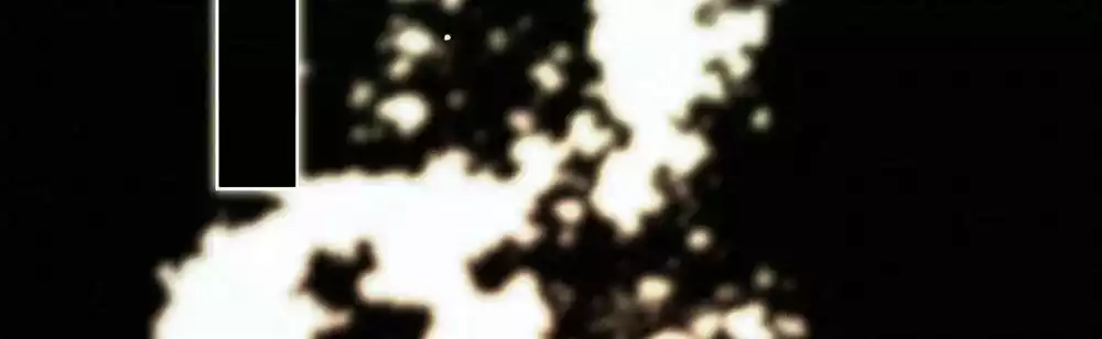 Trỗi Dậy Từ Tro Tàn Chapter 113 22