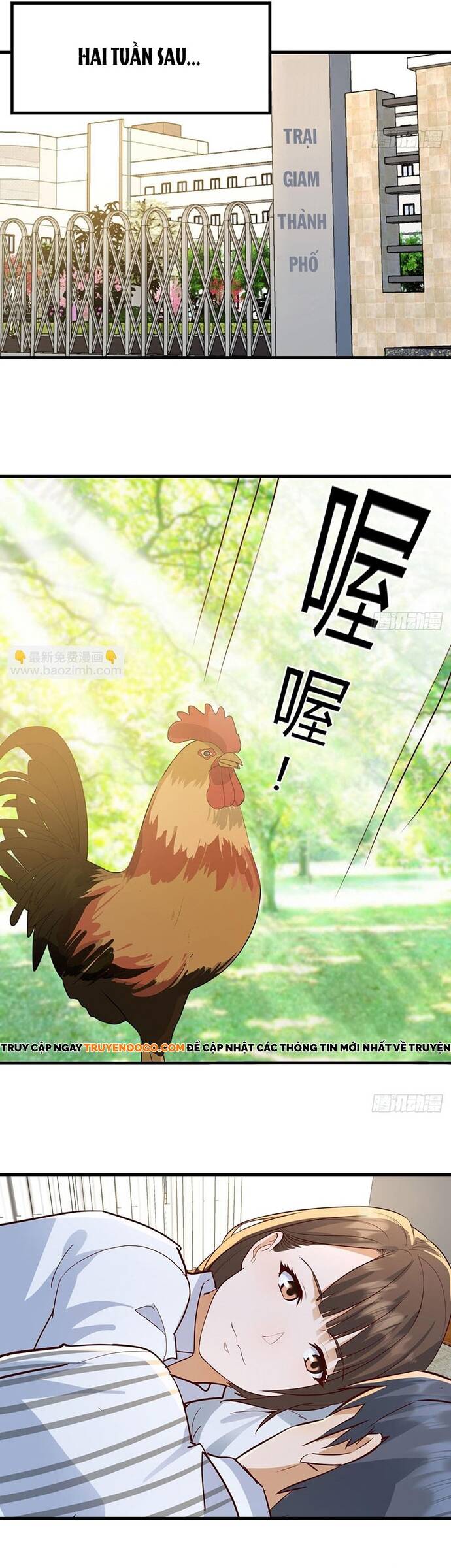 Trong Nhà Có 2 Bạn Gái Song Sinh Chapter 342 - Next Chapter 343