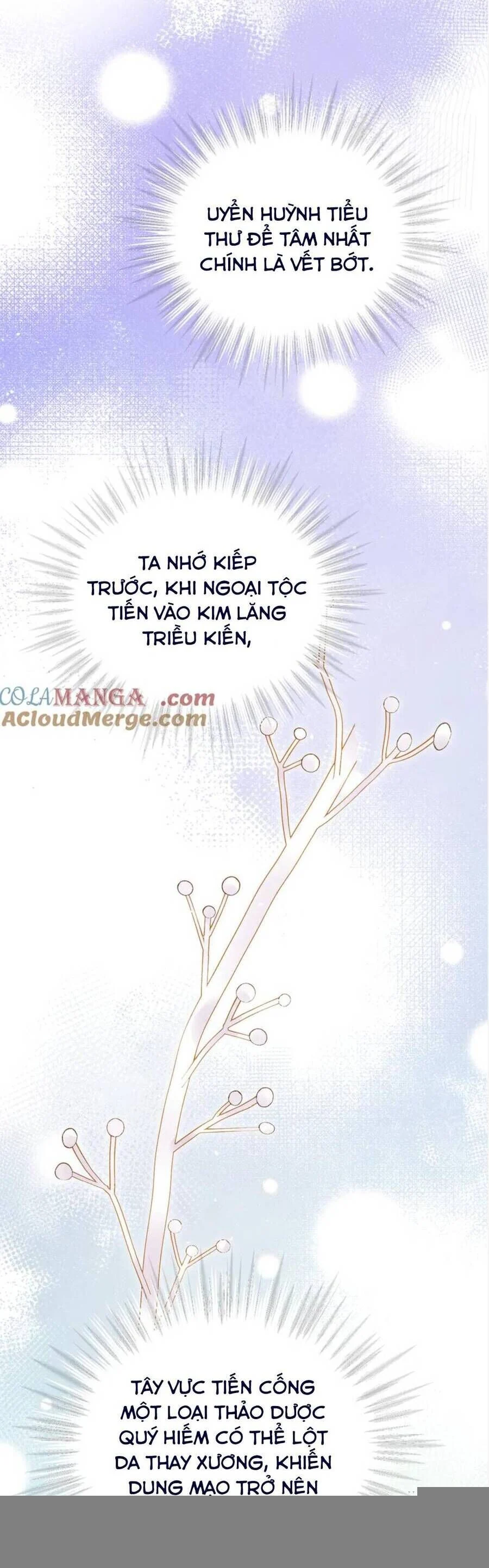 Trọng Sinh Chi Ác Phi Nghịch Tập Chapter 22 - Trang 2