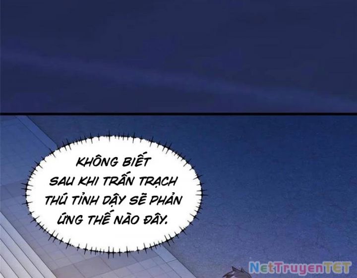Trọng Sinh Không Làm Chạn Vương, Tôi Một Mình Nạp Game Thăng Cấp Chapter 195 - Trang 4