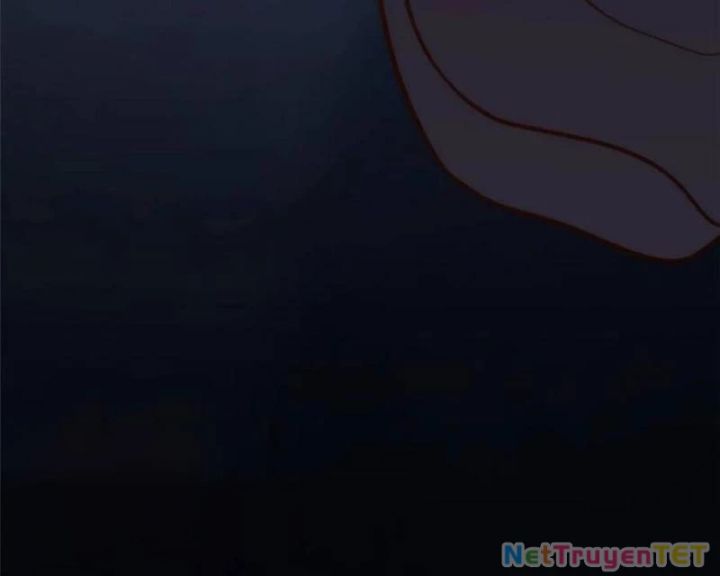 Trọng Sinh Không Làm Chạn Vương, Tôi Một Mình Nạp Game Thăng Cấp Chapter 196 - Trang 4