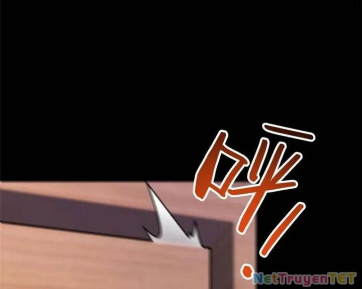 Trọng Sinh Không Làm Chạn Vương, Tôi Một Mình Nạp Game Thăng Cấp Chapter 196 - Trang 4
