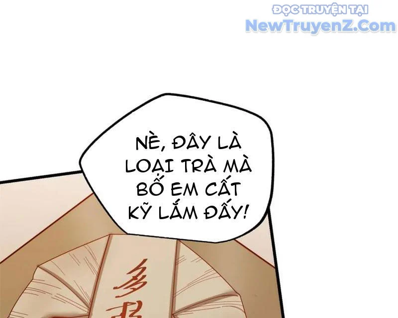 Trọng Sinh Không Làm Chạn Vương, Tôi Một Mình Nạp Game Thăng Cấp Chapter 228 - Trang 2
