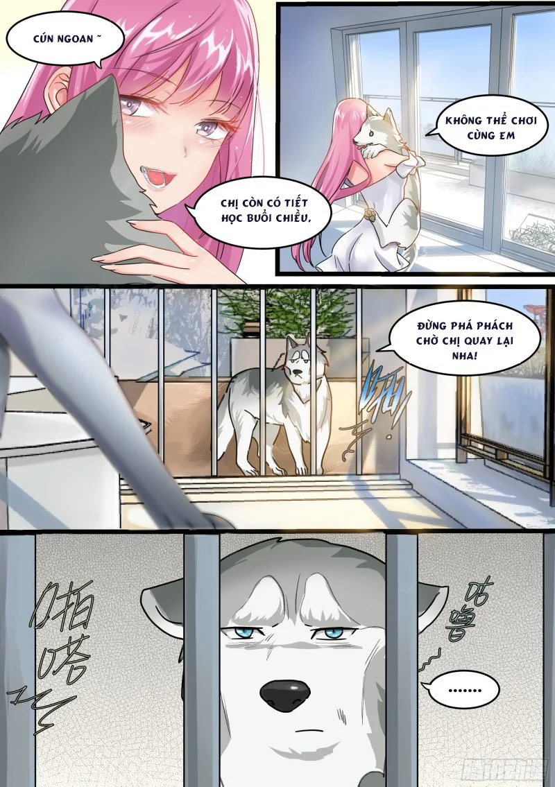 Trọng Sinh Thành Chó Của Nữ Thần Chapter 1 - Trang 4