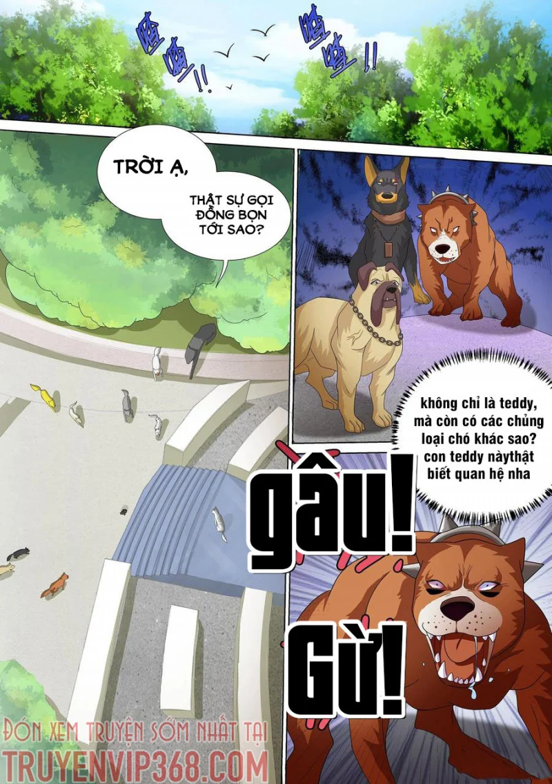 Trọng Sinh Thành Chó Của Nữ Thần Chapter 10 - Trang 4