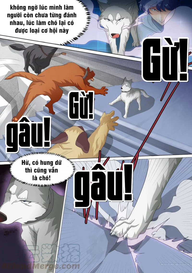 Trọng Sinh Thành Chó Của Nữ Thần Chapter 10 - Trang 4
