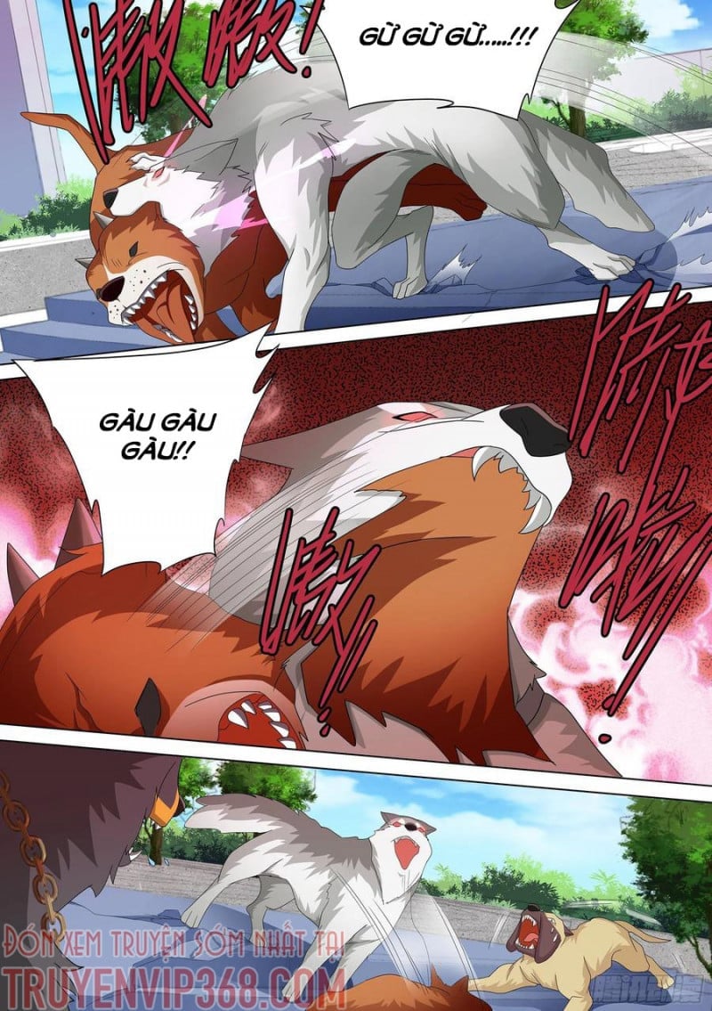 Trọng Sinh Thành Chó Của Nữ Thần Chapter 10 - Trang 4