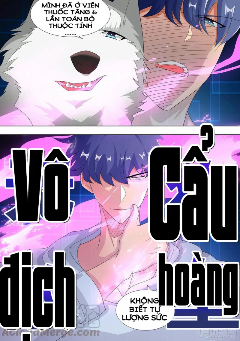 Trọng Sinh Thành Chó Của Nữ Thần Chapter 10 - Trang 4