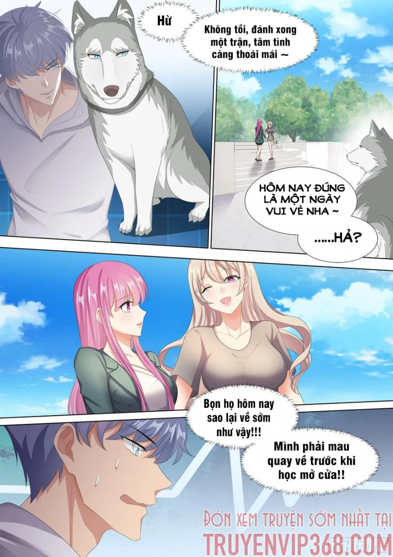 Trọng Sinh Thành Chó Của Nữ Thần Chapter 10 - Trang 4