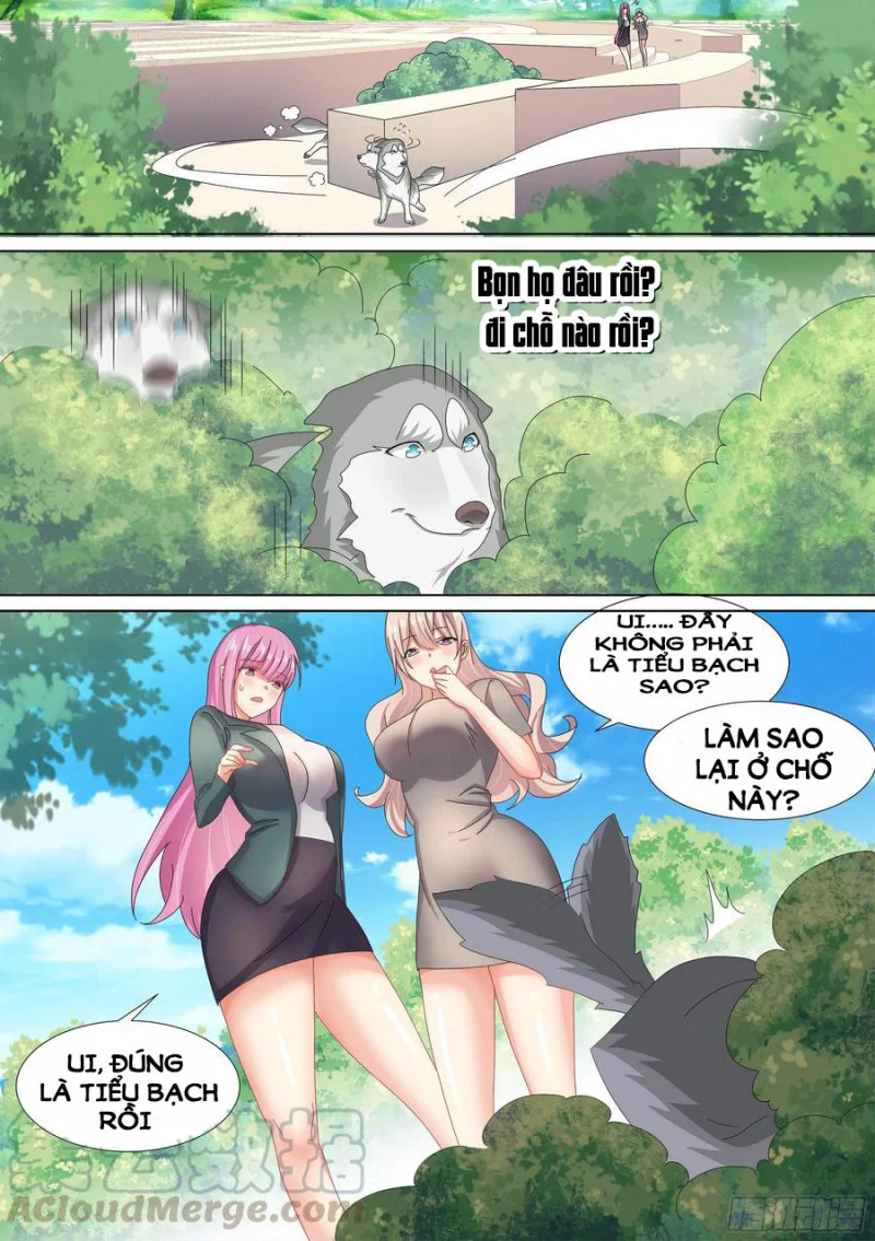 Trọng Sinh Thành Chó Của Nữ Thần Chapter 10 - Trang 4