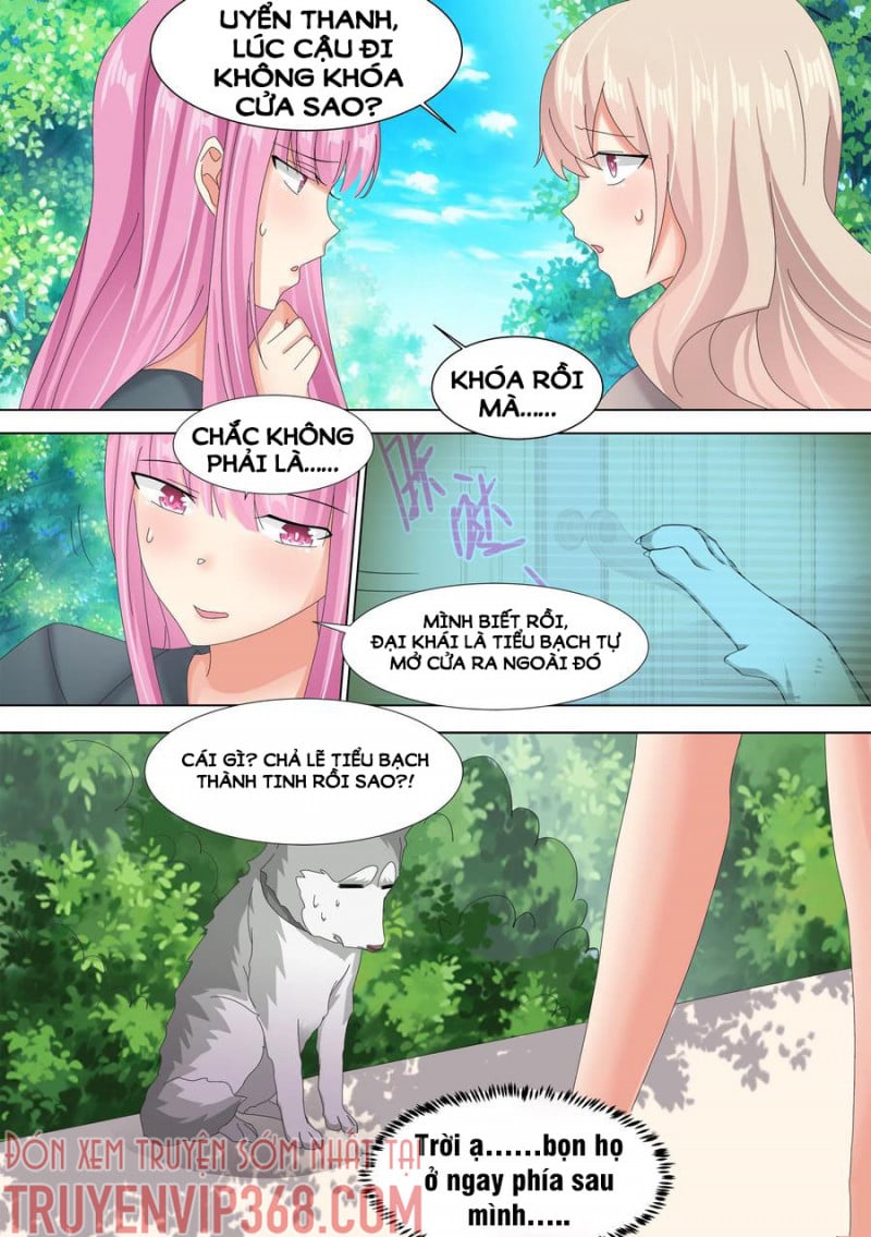 Trọng Sinh Thành Chó Của Nữ Thần Chapter 10 - Trang 4