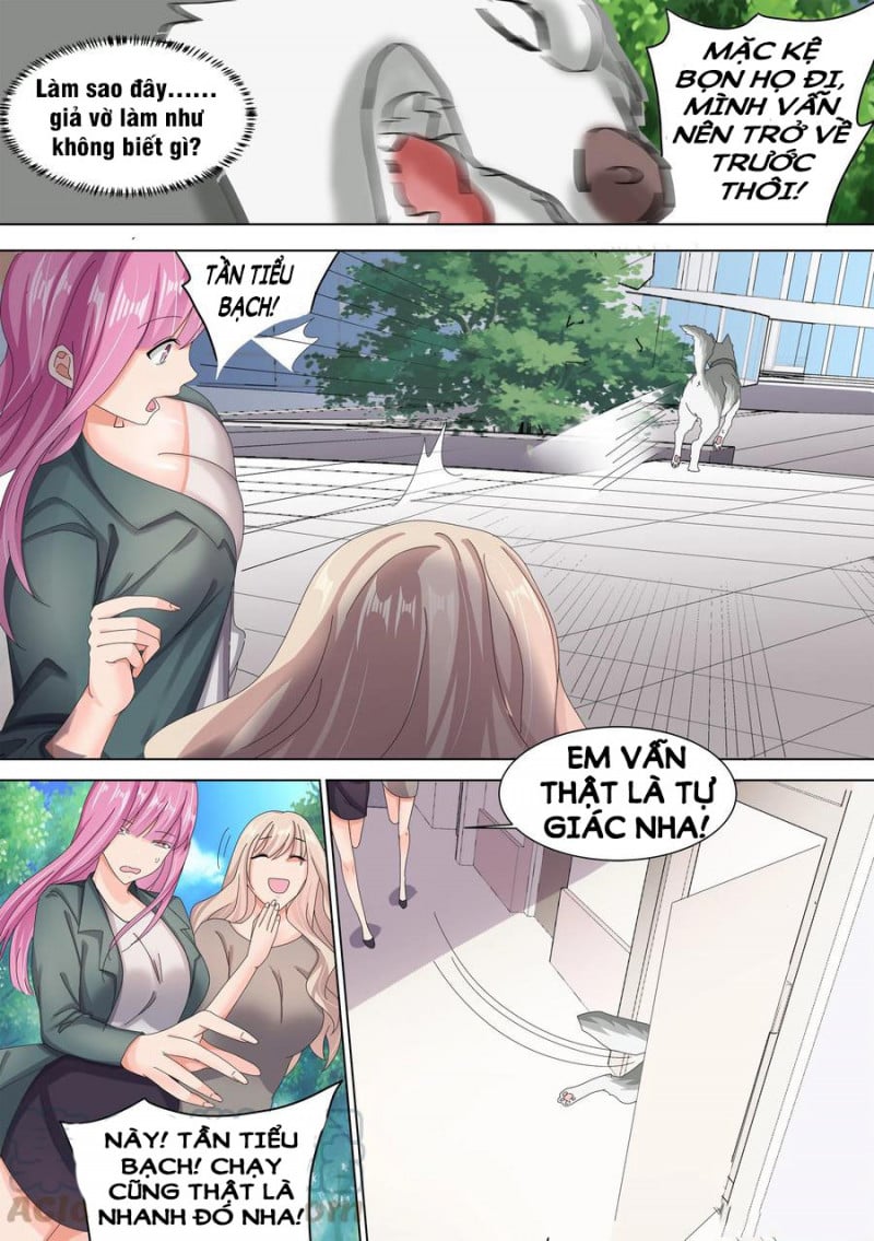 Trọng Sinh Thành Chó Của Nữ Thần Chapter 10 - Trang 4
