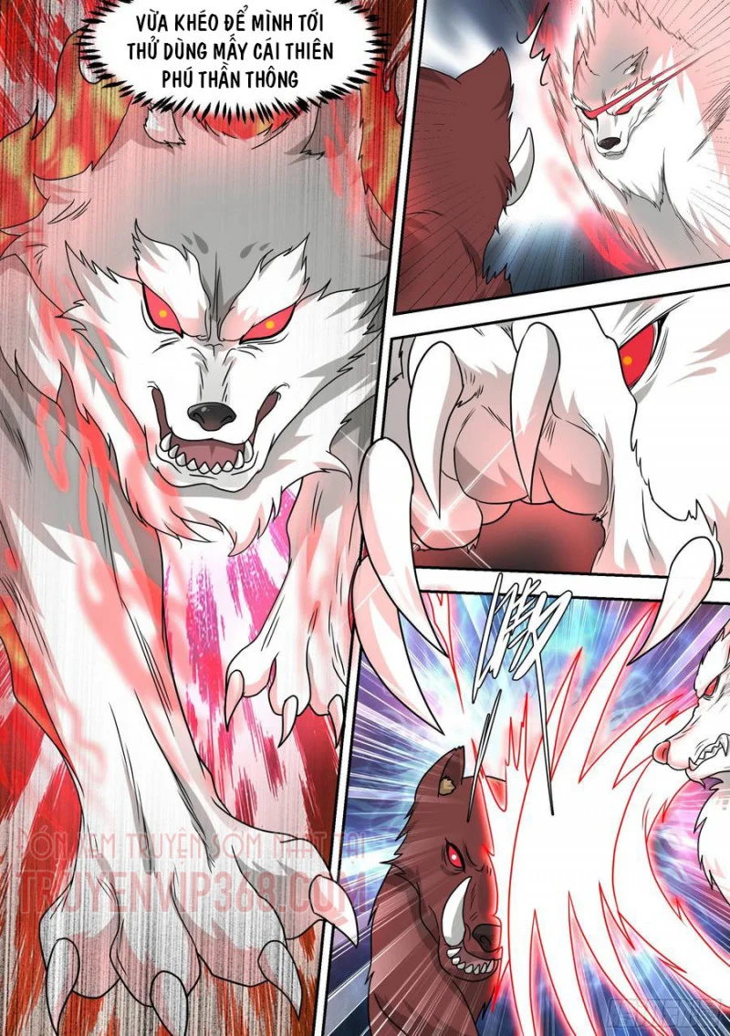 Trọng Sinh Thành Chó Của Nữ Thần Chapter 17 - Trang 4