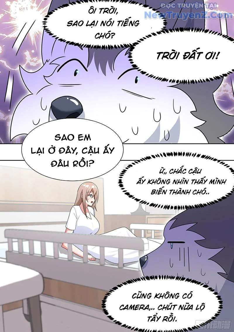 Trọng Sinh Thành Chó Của Nữ Thần Chapter 196 - Trang 2