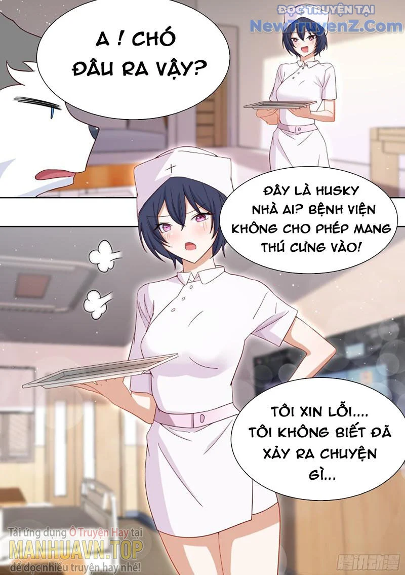 Trọng Sinh Thành Chó Của Nữ Thần Chapter 196 - Trang 2