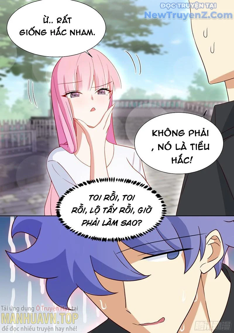 Trọng Sinh Thành Chó Của Nữ Thần Chapter 198 - Trang 2