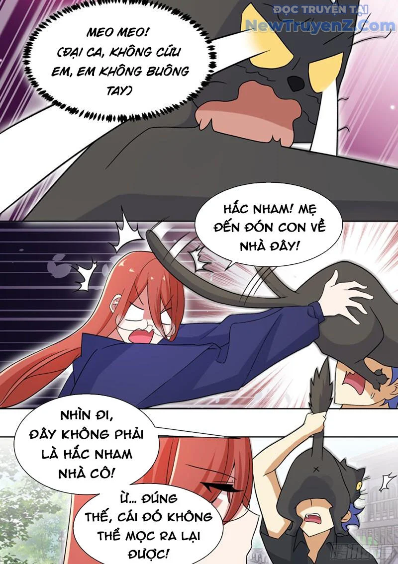 Trọng Sinh Thành Chó Của Nữ Thần Chapter 198 - Trang 2