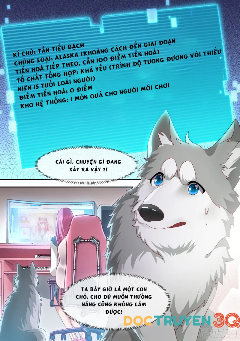 Trọng Sinh Thành Chó Của Nữ Thần Chapter 2 - Trang 4