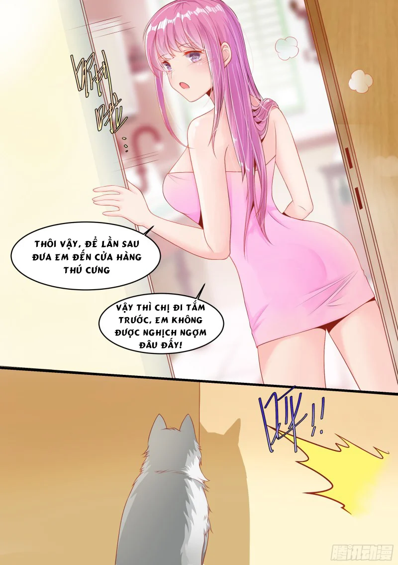Trọng Sinh Thành Chó Của Nữ Thần Chapter 2 - Trang 4