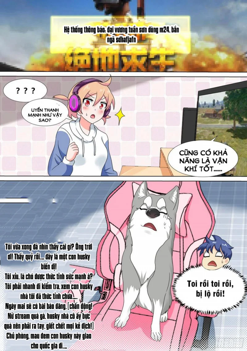 Trọng Sinh Thành Chó Của Nữ Thần Chapter 21 - Trang 2