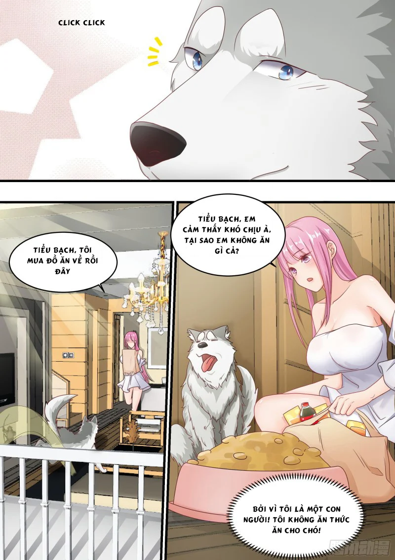 Trọng Sinh Thành Chó Của Nữ Thần Chapter 3 - Trang 4