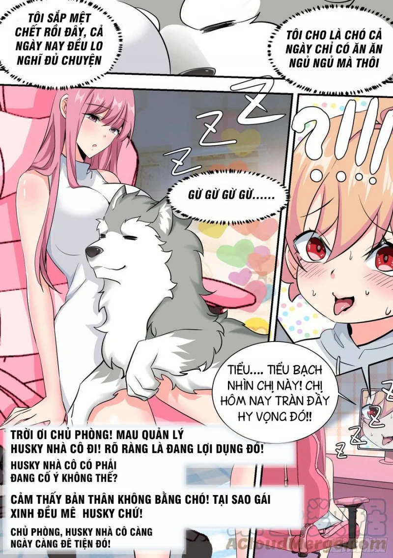 Trọng Sinh Thành Chó Của Nữ Thần Chapter 35 - Trang 4