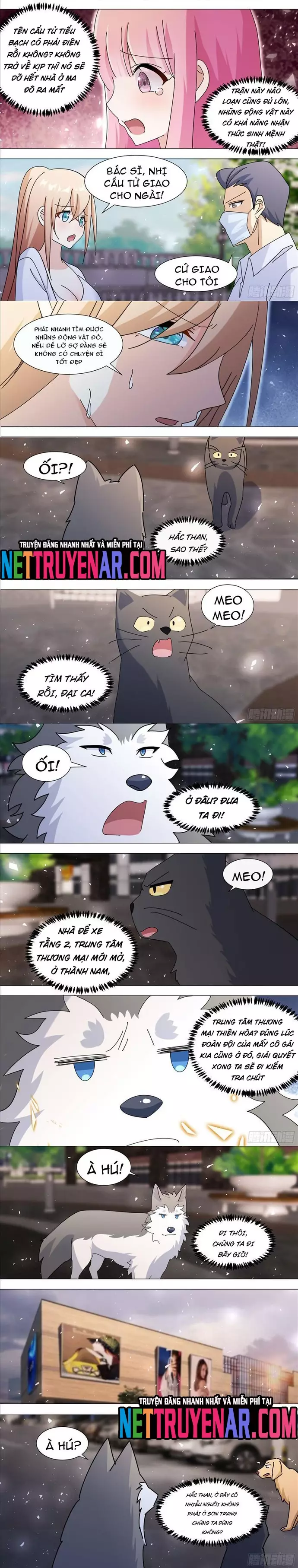 Trọng Sinh Thành Chó Của Nữ Thần Chapter 372 - Next Chapter 373