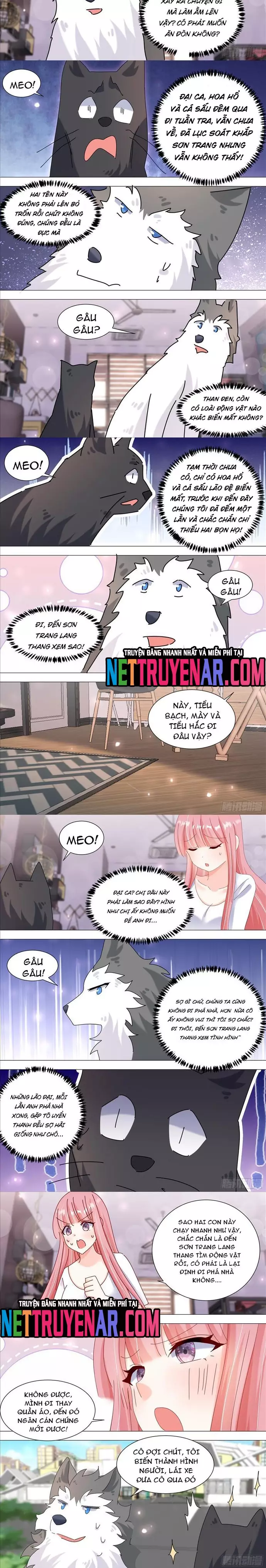 Trọng Sinh Thành Chó Của Nữ Thần Chapter 385 - Next Chapter 386