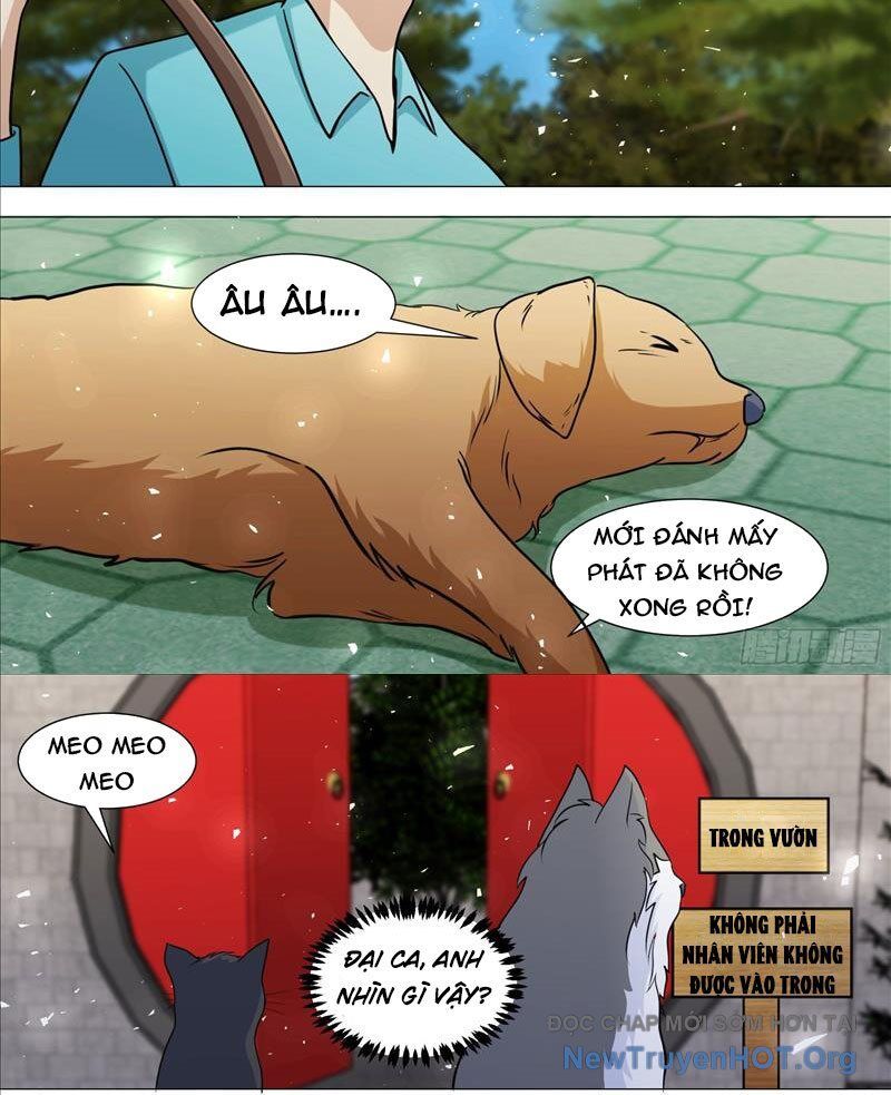 Trọng Sinh Thành Chó Của Nữ Thần Chapter 388 - Next Chapter 389