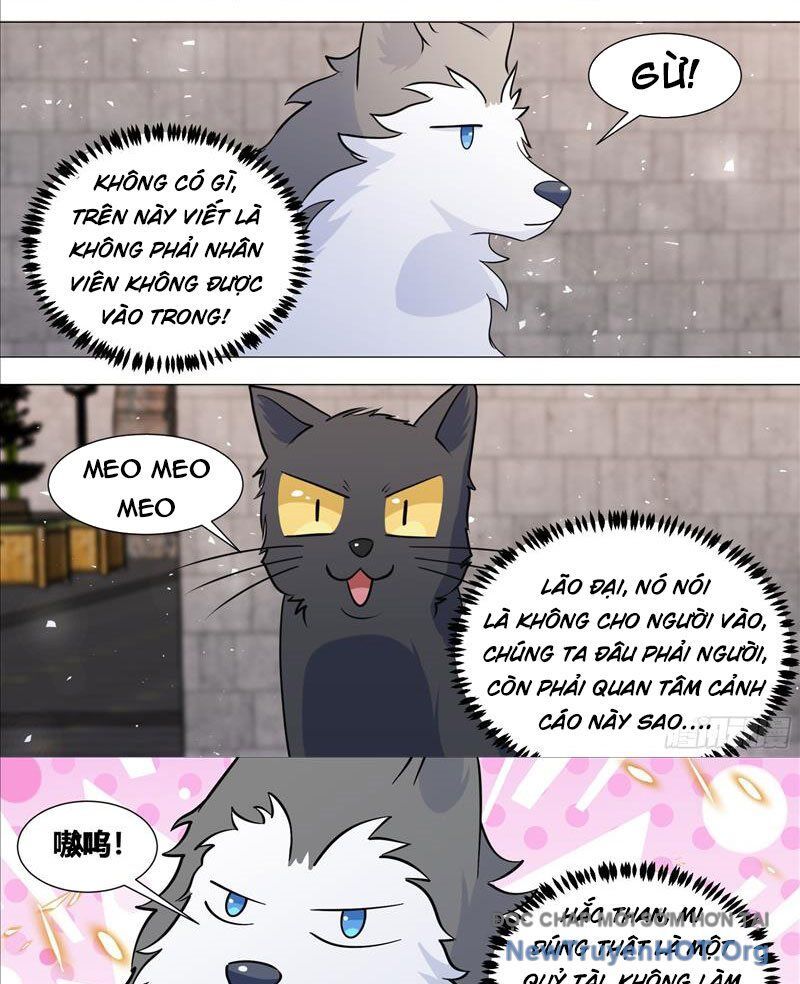 Trọng Sinh Thành Chó Của Nữ Thần Chapter 388 - Next Chapter 389