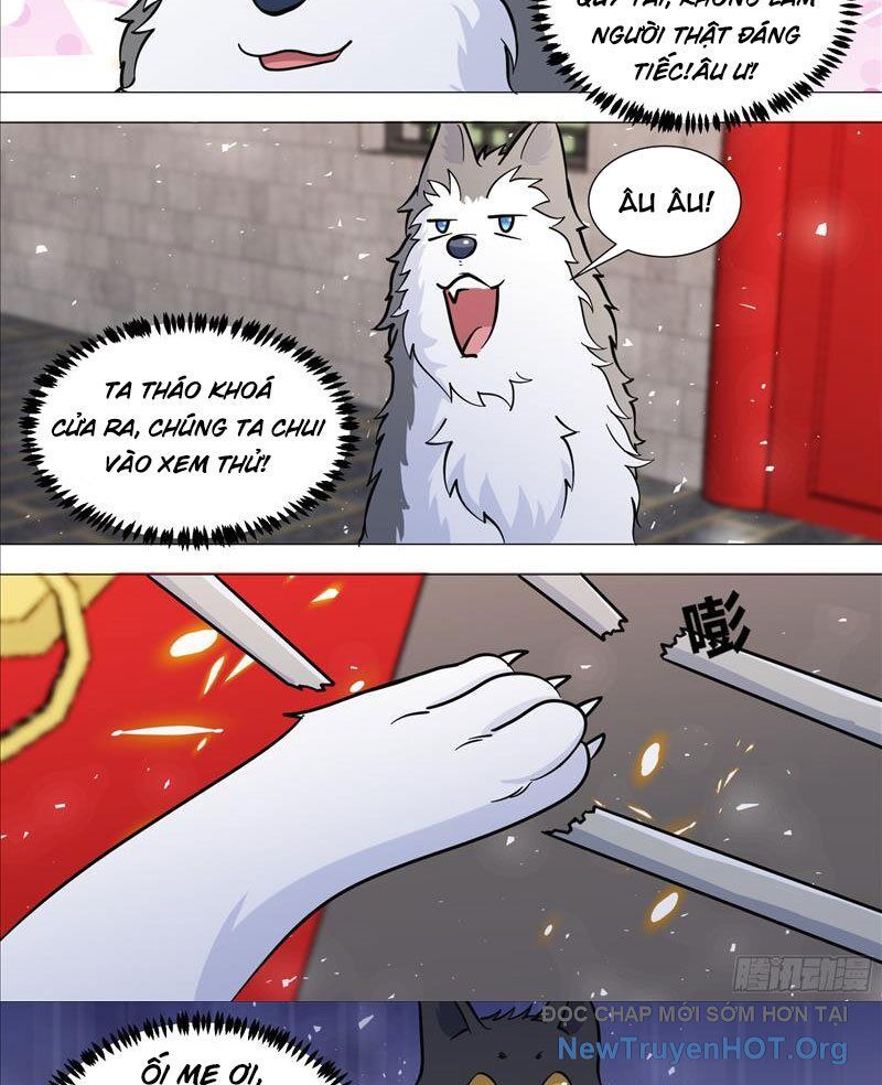 Trọng Sinh Thành Chó Của Nữ Thần Chapter 388 - Next Chapter 389