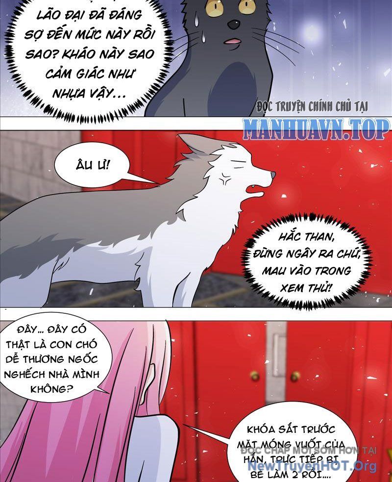 Trọng Sinh Thành Chó Của Nữ Thần Chapter 388 - Next Chapter 389
