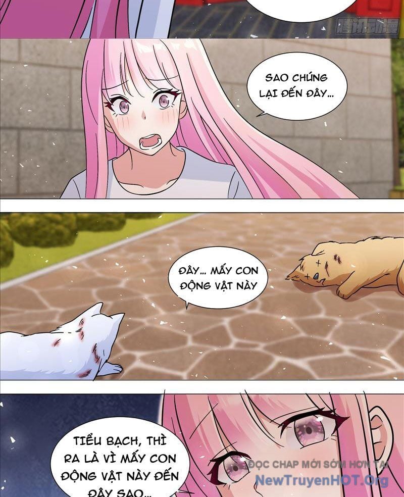 Trọng Sinh Thành Chó Của Nữ Thần Chapter 388 - Next Chapter 389